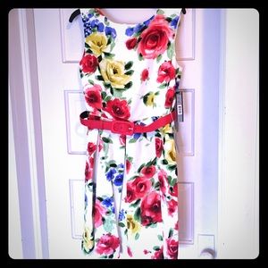 NWT Tahari Floral Belted Fit & Flare Dress 8P